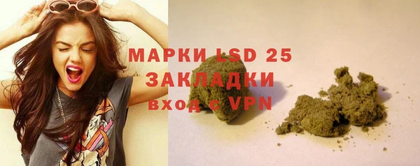 мяу мяу кристалл Богданович