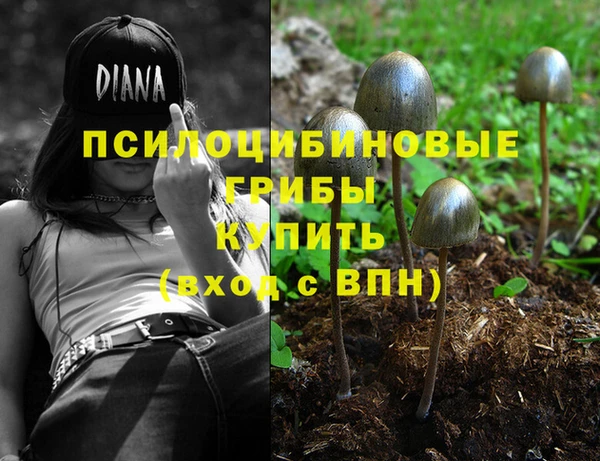 СК Богородицк