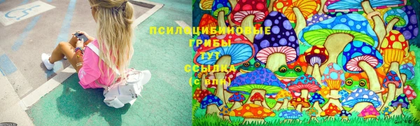 мяу мяу кристалл Богданович