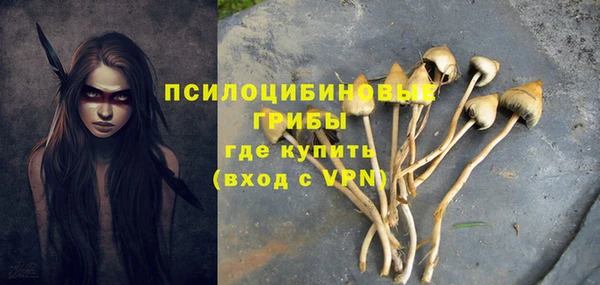 MDMA Богородск