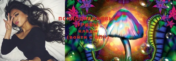 СК Богородицк