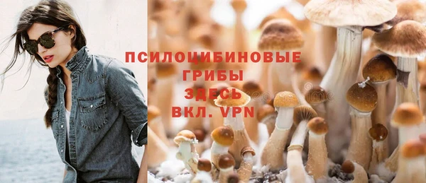 MDMA Богородск